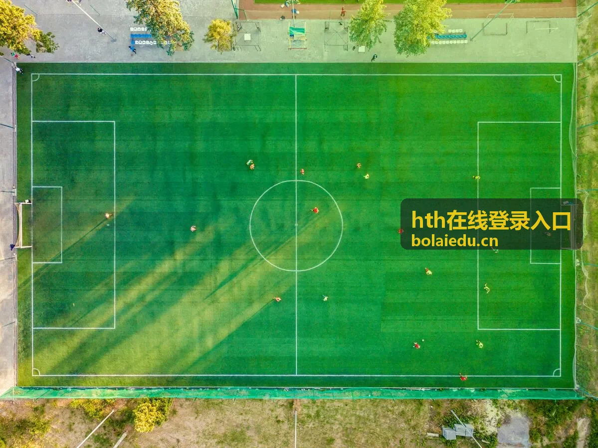 hth在线登录入口 远程办公安全接入示例